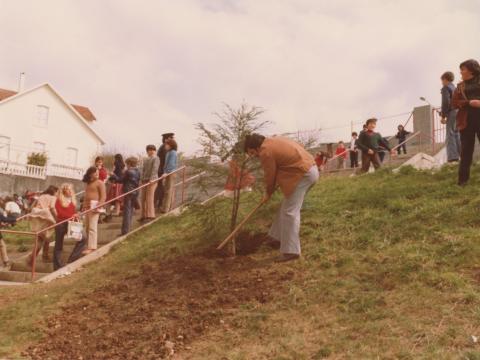 Xosé María Rivera Arnoso plantando unha árbore no colexio O Ramo de Barallobre